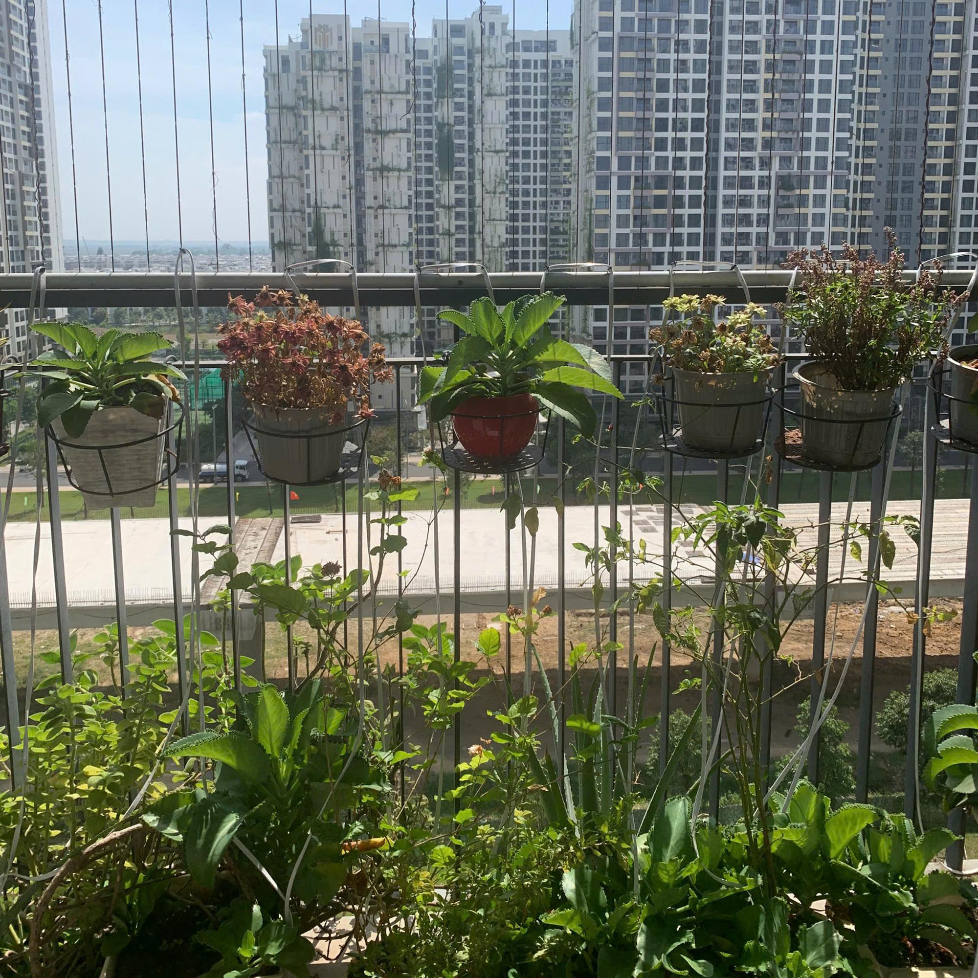 2PN1WC - Tòa S5.03 (tầng 11)-duoc-ban-tai-Minh Vinhomes Grand Park