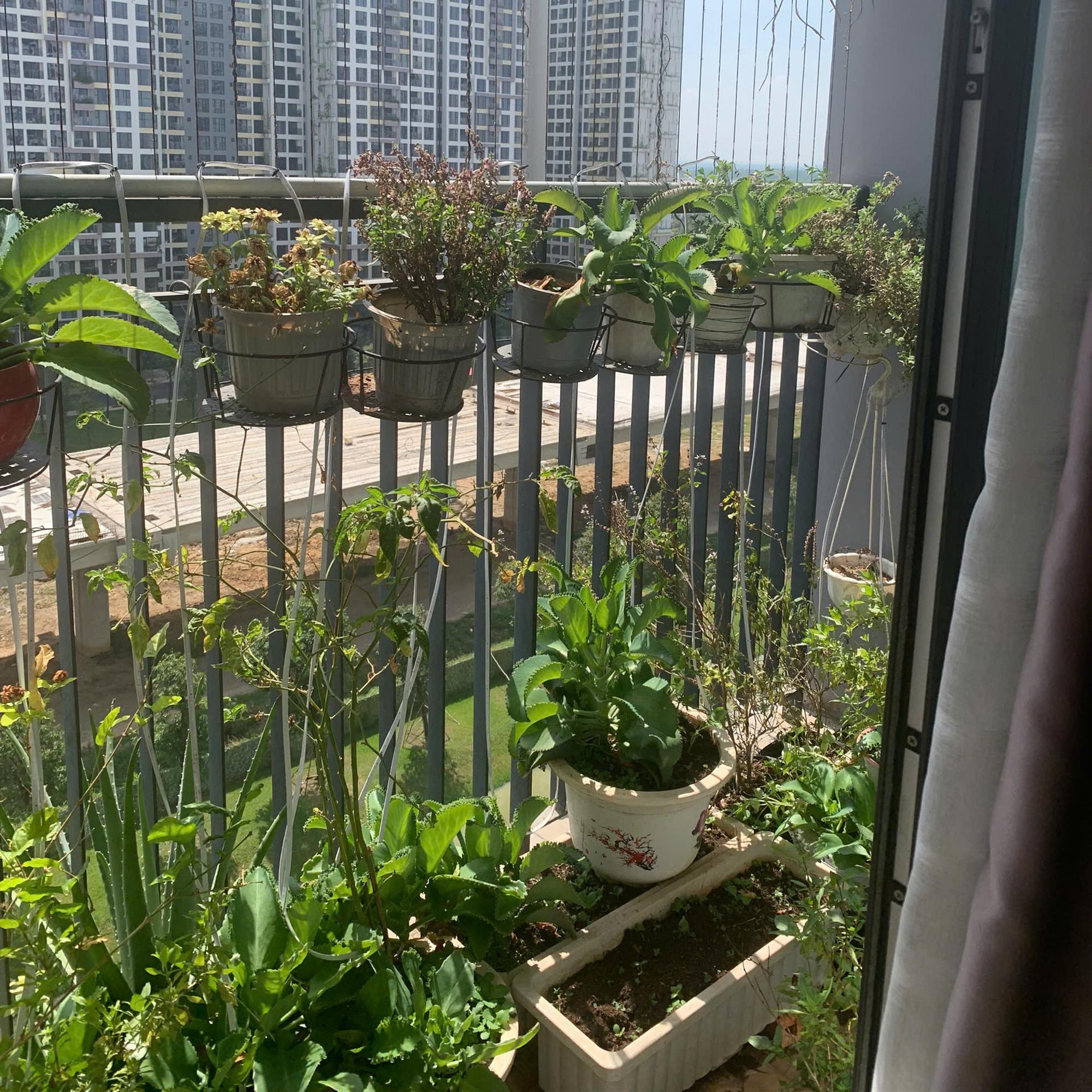 2PN1WC - Tòa S5.03 (tầng 11)-duoc-ban-tai-Minh Vinhomes Grand Park