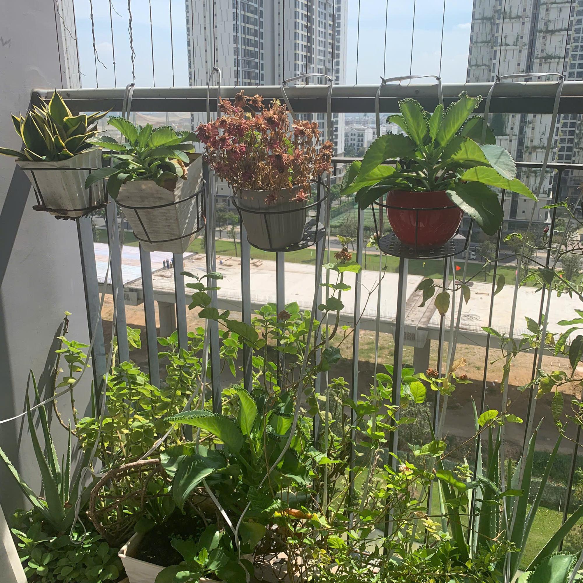 2PN1WC - Tòa S5.03 (tầng 11)-duoc-ban-tai-Minh Vinhomes Grand Park