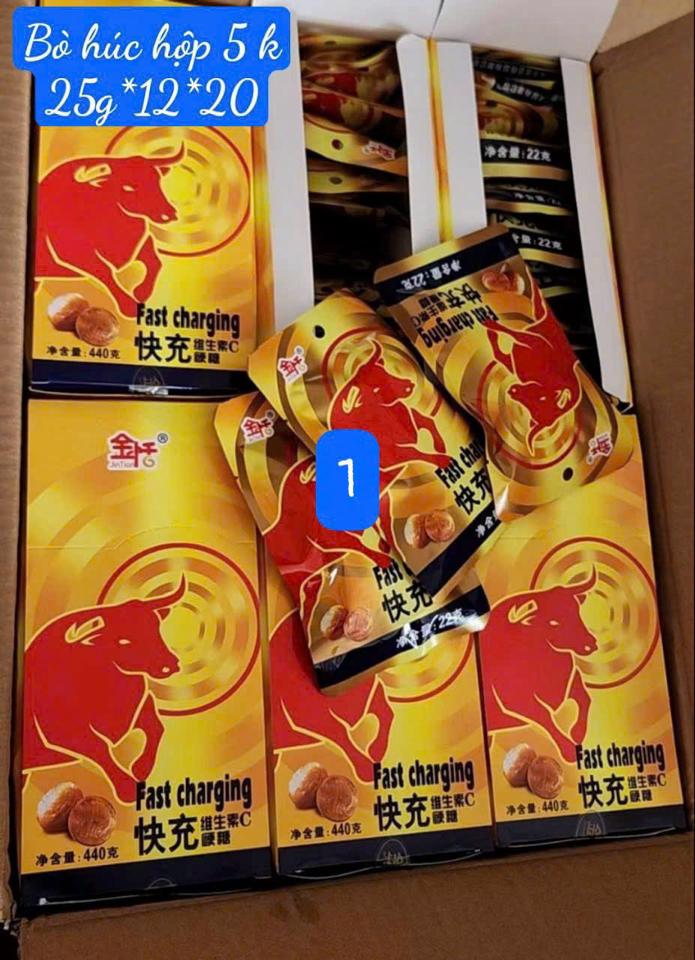 Bò cụng hộp-duoc-ban-tai-LV