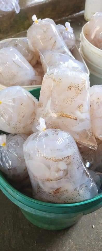 Sứa biển tươi-duoc-ban-tai-Hương huỳnh