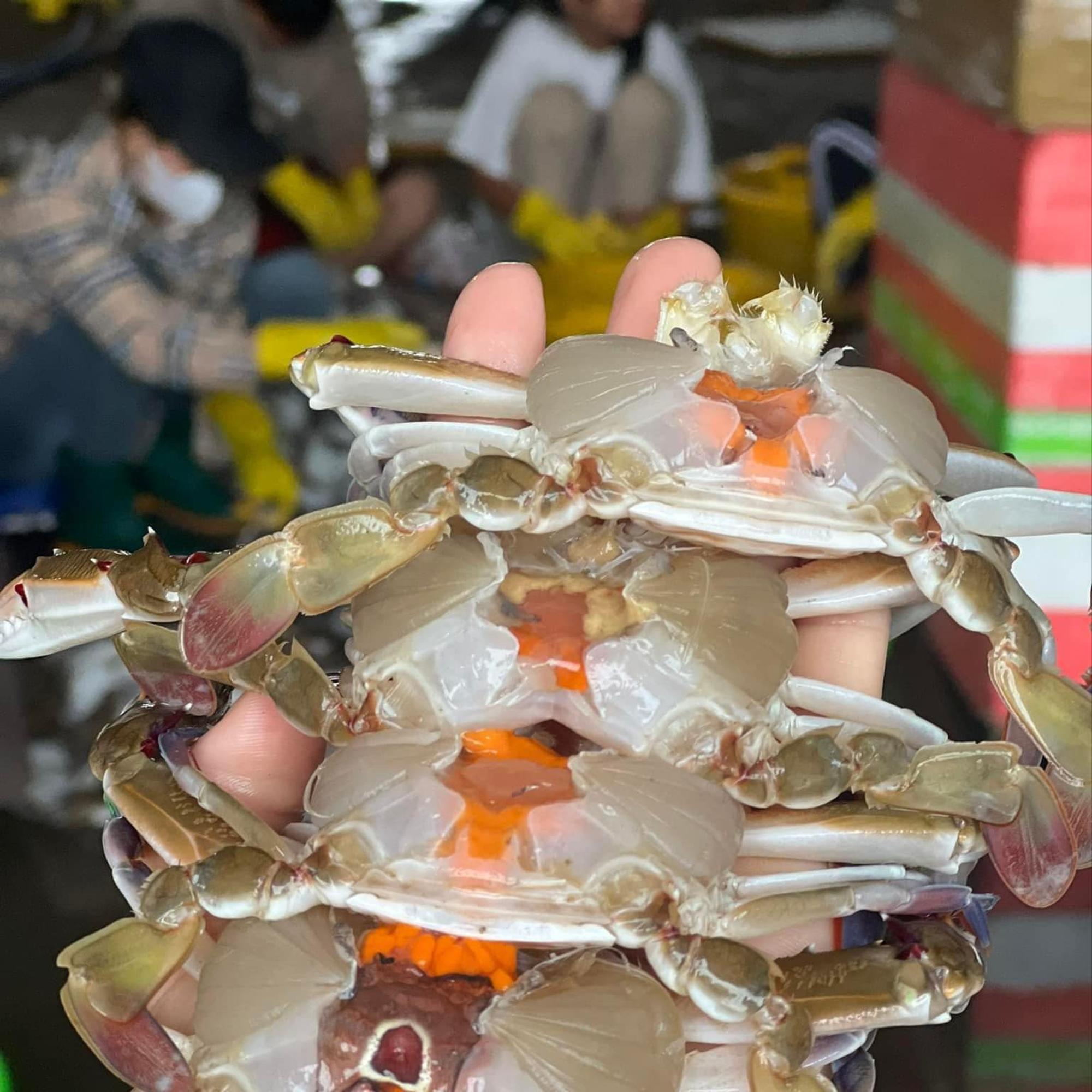 ghẹ 3 chấm-duoc-ban-tai-Hương huỳnh