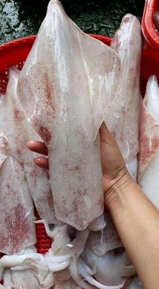 mực ống vip-duoc-ban-tai-Hương huỳnh