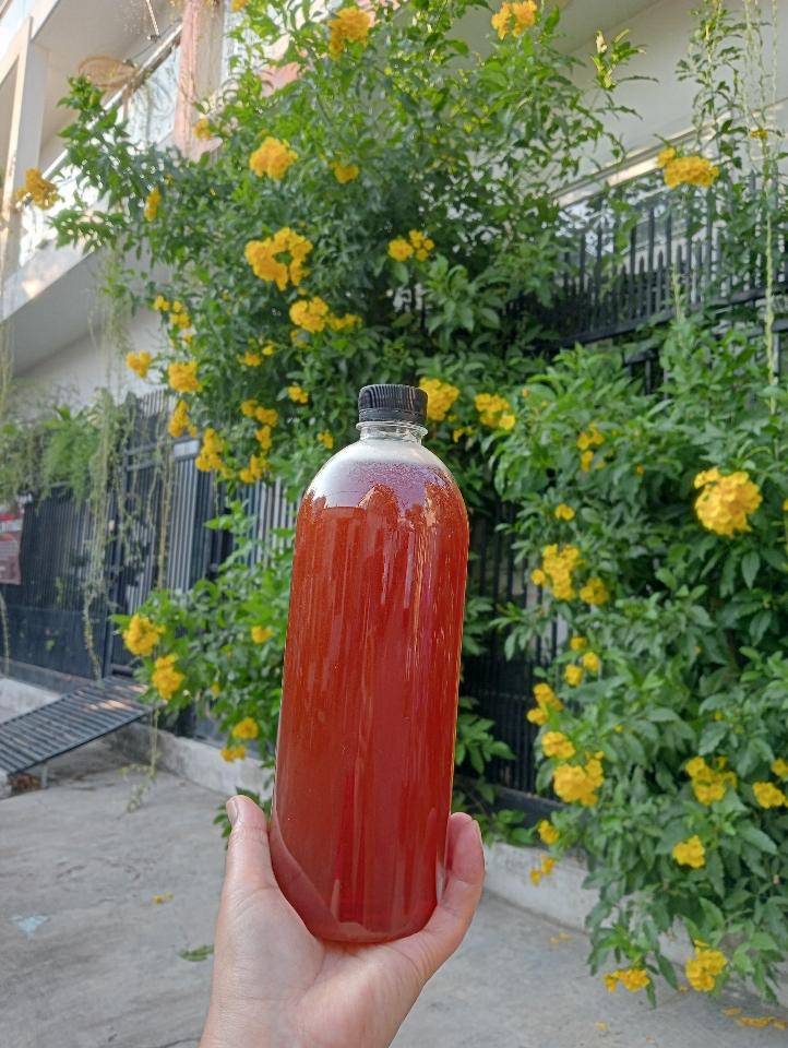 Mật ong Hoa cà phê Đặc biệt -duoc-ban-tai-Shop.BachToan(Cho_Nho_Minimercado)