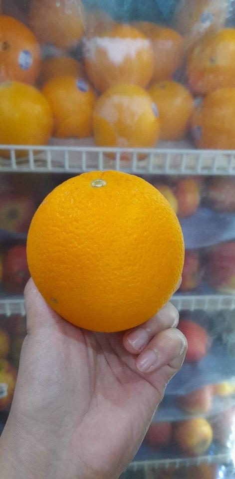 Cam nhập khẩu-duoc-ban-tai-Shop.BachToan(Cho_Nho_Minimercado)