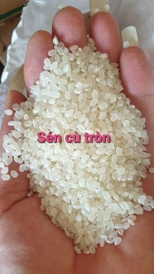 Gạo sén Cù Tây Bắc-duoc-ban-tai-Shop.BachToan(Cho_Nho_Minimercado)