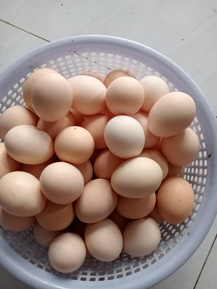 Trứng gà quê -duoc-ban-tai-Shop.BachToan(Cho_Nho_Minimercado)