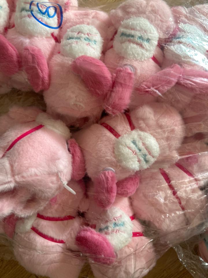 Cappybara đeo tay-duoc-ban-tai-pink shop