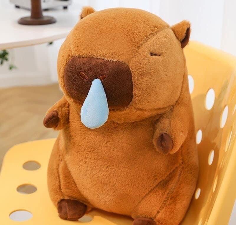 THÚ BÔNG CAPYBARA LÒ MŨI 1405MK43 -SZ 30cm: 130k -Sz 40cm: 170k -Sz 50cm: 210k-duoc-ban-tai-Alice Quỳnh