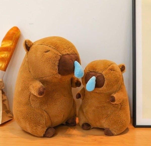 THÚ BÔNG CAPYBARA LÒ MŨI 1405MK43 -SZ 30cm: 130k -Sz 40cm: 170k -Sz 50cm: 210k-duoc-ban-tai-Alice Quỳnh