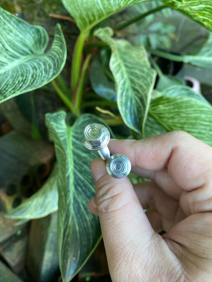 Inox 304 - Ốc 6li mẫu thái-duoc-ban-tai-Siêu Thị Ốc