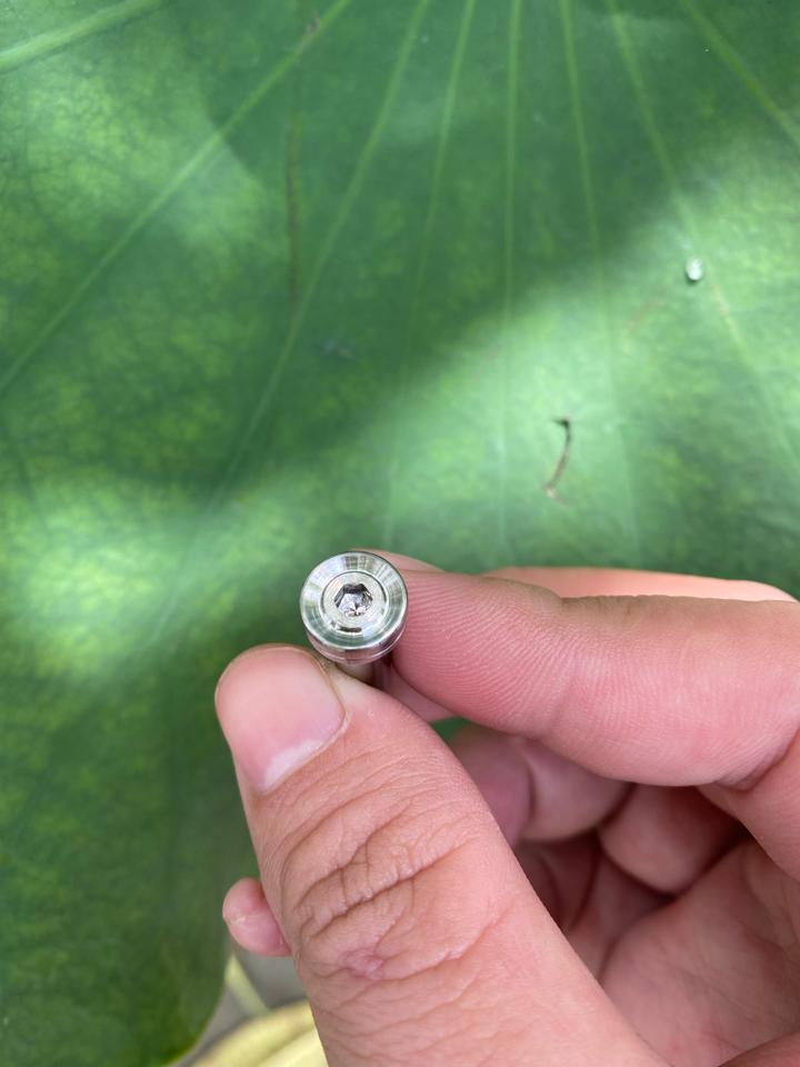 Inox 304 - Ốc bợ cổ Dream-duoc-ban-tai-Siêu Thị Ốc