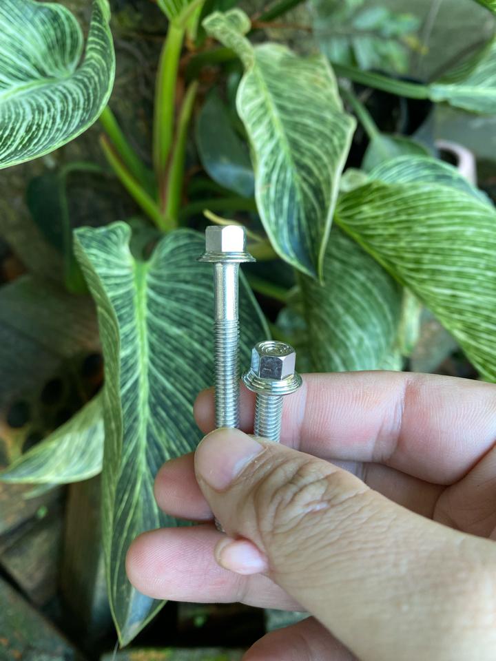 Inox 304 - Ốc 6li mẫu thái-duoc-ban-tai-Siêu Thị Ốc