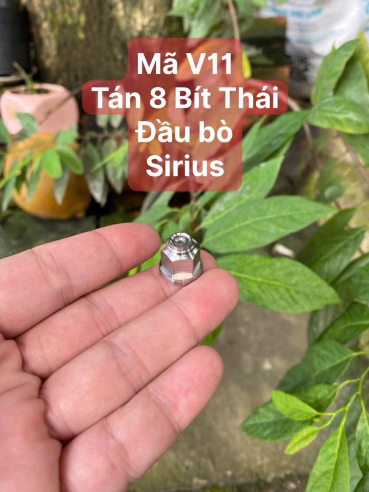 Inox 304- Tán mẫu thái -duoc-ban-tai-Siêu Thị Ốc