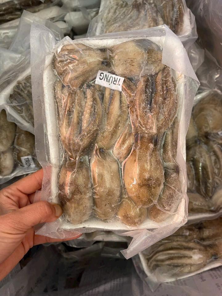 Tuộc trứng-duoc-ban-tai-HOÀ CÁT BÀ