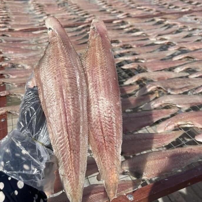 Cá bơn 1 nắng -duoc-ban-tai-HOÀ CÁT BÀ