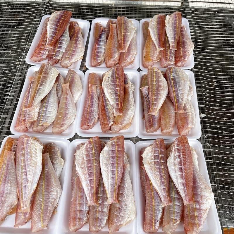 Cá hồng phèn 1 nắng -duoc-ban-tai-HOÀ CÁT BÀ