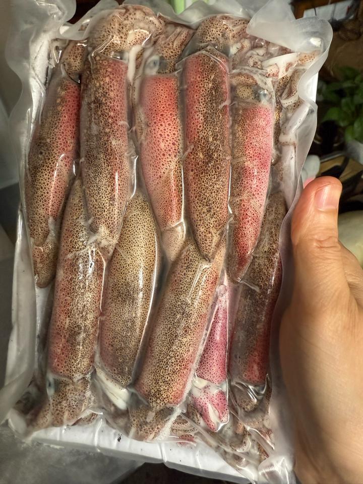 Mực ống 4 câu -duoc-ban-tai-HOÀ CÁT BÀ