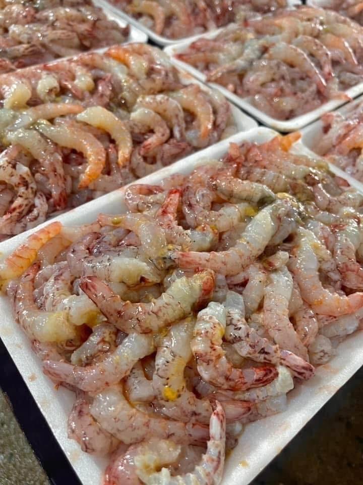  Nõn tôm sắt -duoc-ban-tai-HOÀ CÁT BÀ