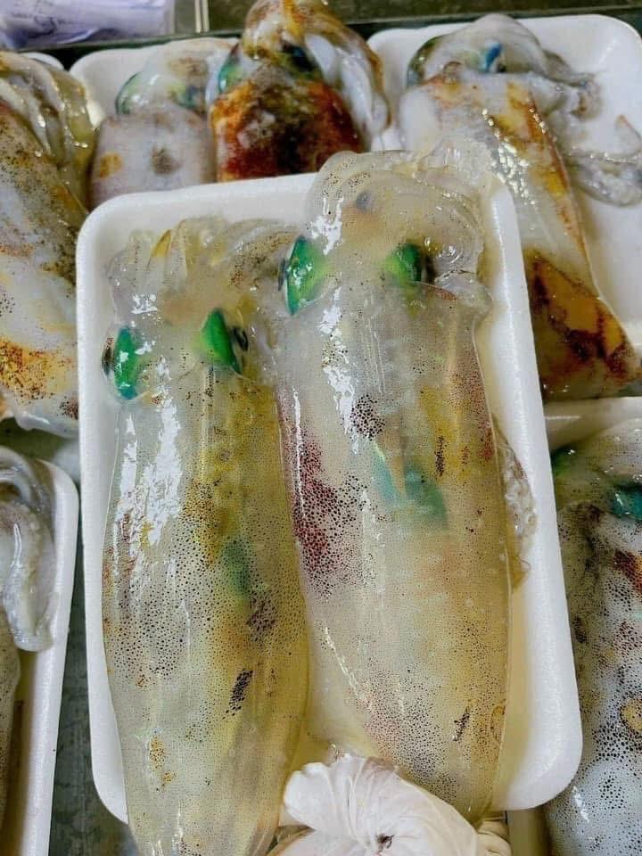 Mực lá 4con-duoc-ban-tai-HOÀ CÁT BÀ