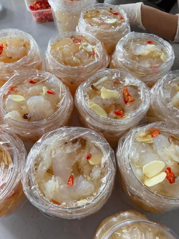 Sứa chân -duoc-ban-tai-HOÀ CÁT BÀ