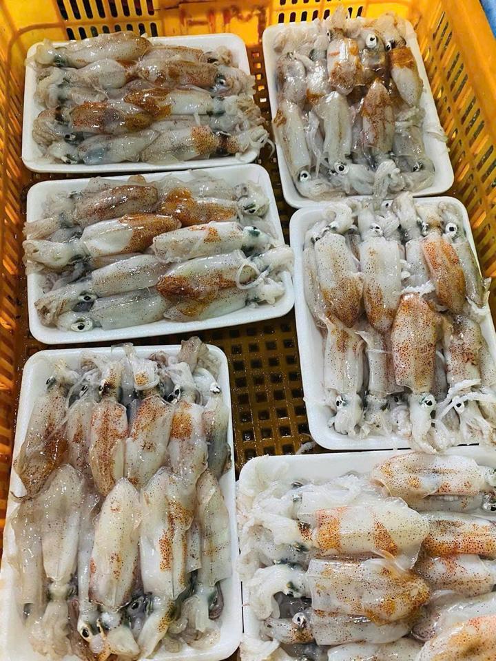 Mực sim trứng-duoc-ban-tai-HOÀ CÁT BÀ