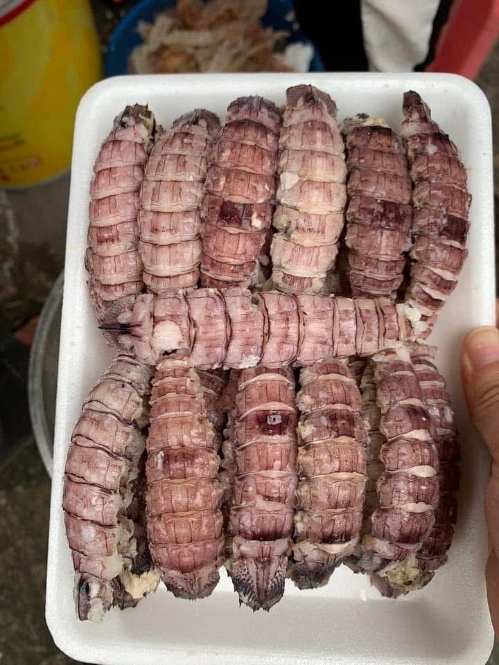 Nõn bề bề -duoc-ban-tai-HOÀ CÁT BÀ