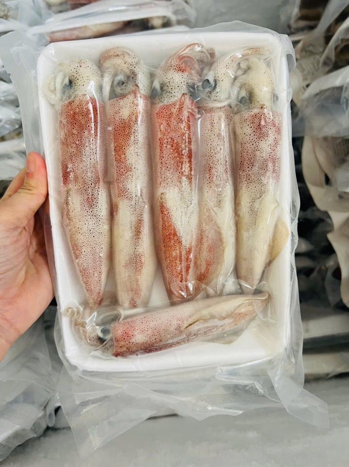 Mực ống 12c-14c-duoc-ban-tai-HOÀ CÁT BÀ