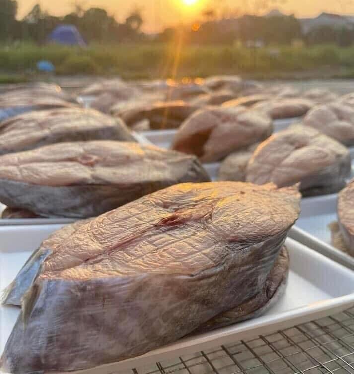 Cá thu khúc 1 nắng -duoc-ban-tai-HOÀ CÁT BÀ