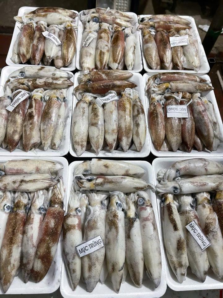Mực trứng nháy -duoc-ban-tai-HOÀ CÁT BÀ