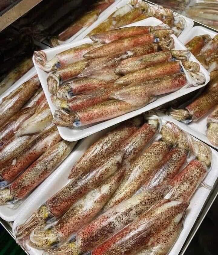 Mực trứng câu-duoc-ban-tai-HOÀ CÁT BÀ
