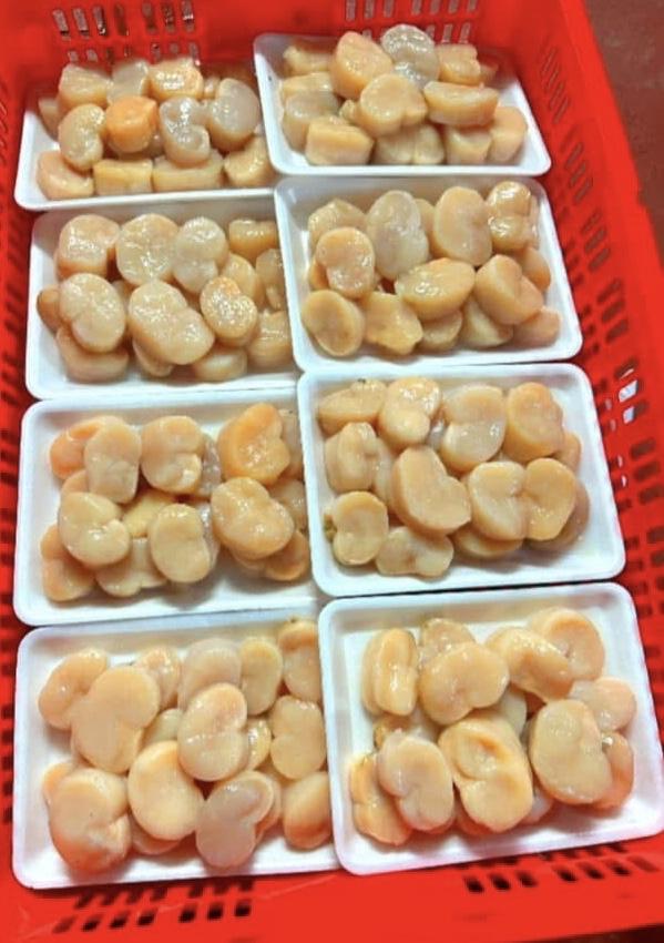 Cồi mai chọn to -duoc-ban-tai-HOÀ CÁT BÀ
