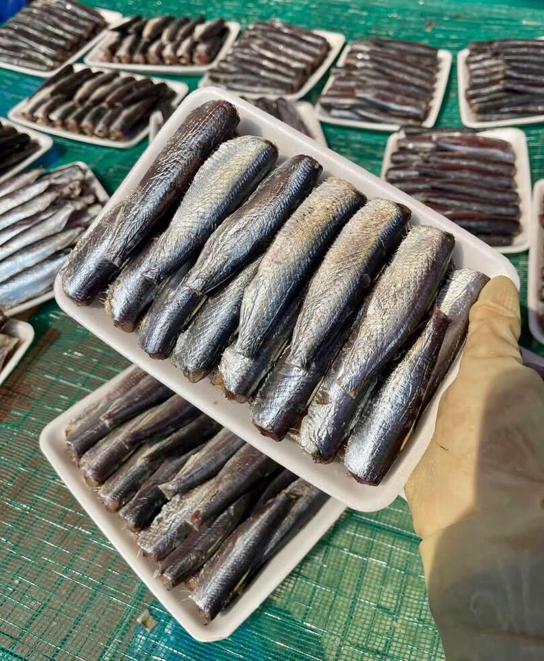 Cá nhâm (cá trích) 1 nắng -duoc-ban-tai-HOÀ CÁT BÀ