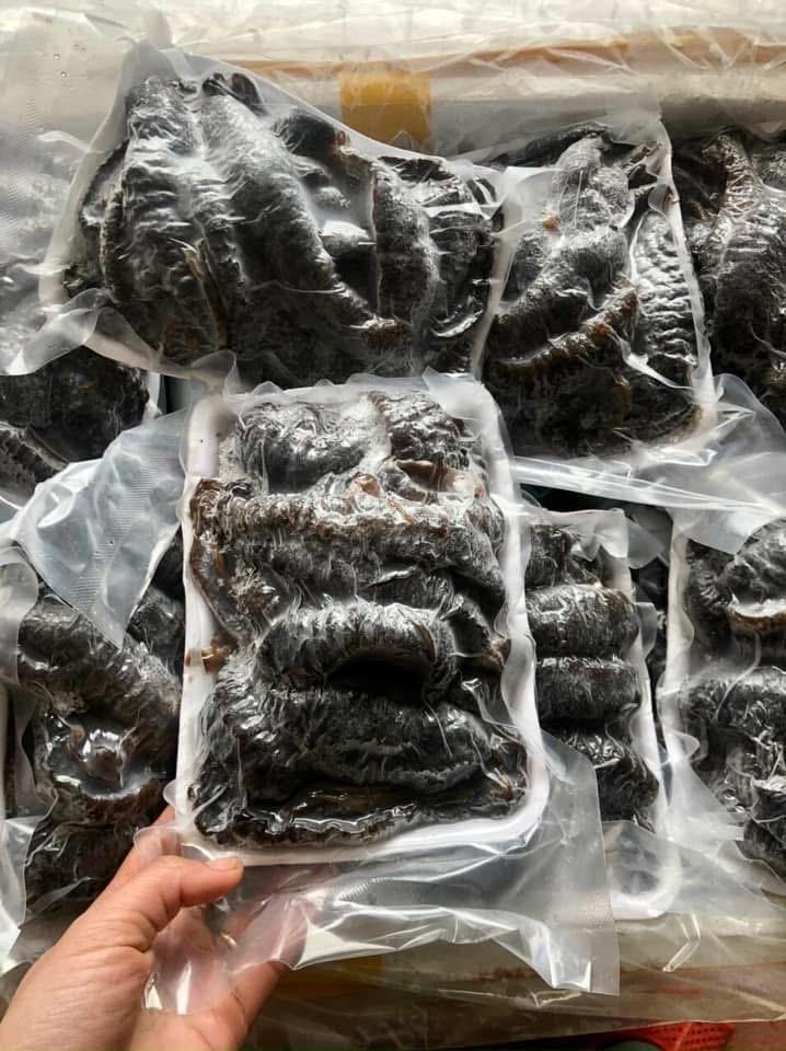 Hải sâm đen -duoc-ban-tai-HOÀ CÁT BÀ