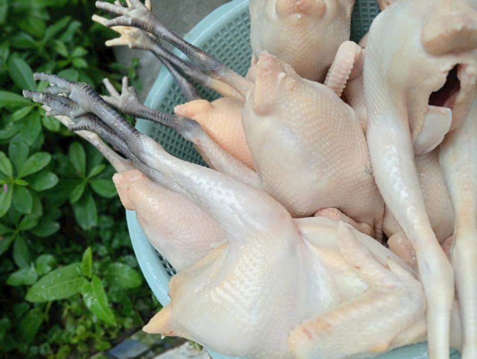 Gà đất thiên nhiên 100%-duoc-ban-tai-T.A HOUSE