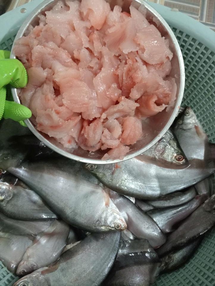 Dịch vụ quết cá & gia vị-duoc-ban-tai-T.A HOUSE