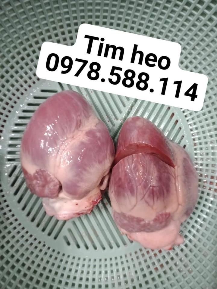 Tim HEO quê, theo thời giá-duoc-ban-tai-T.A HOUSE