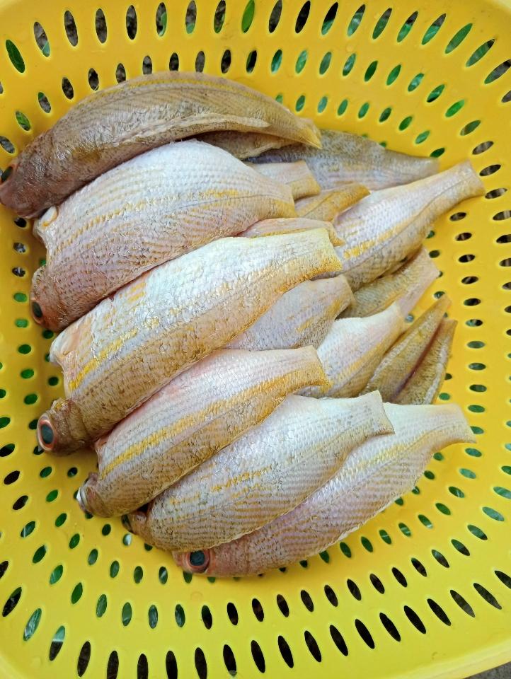 Cá đổng, làm sạch-duoc-ban-tai-T.A HOUSE