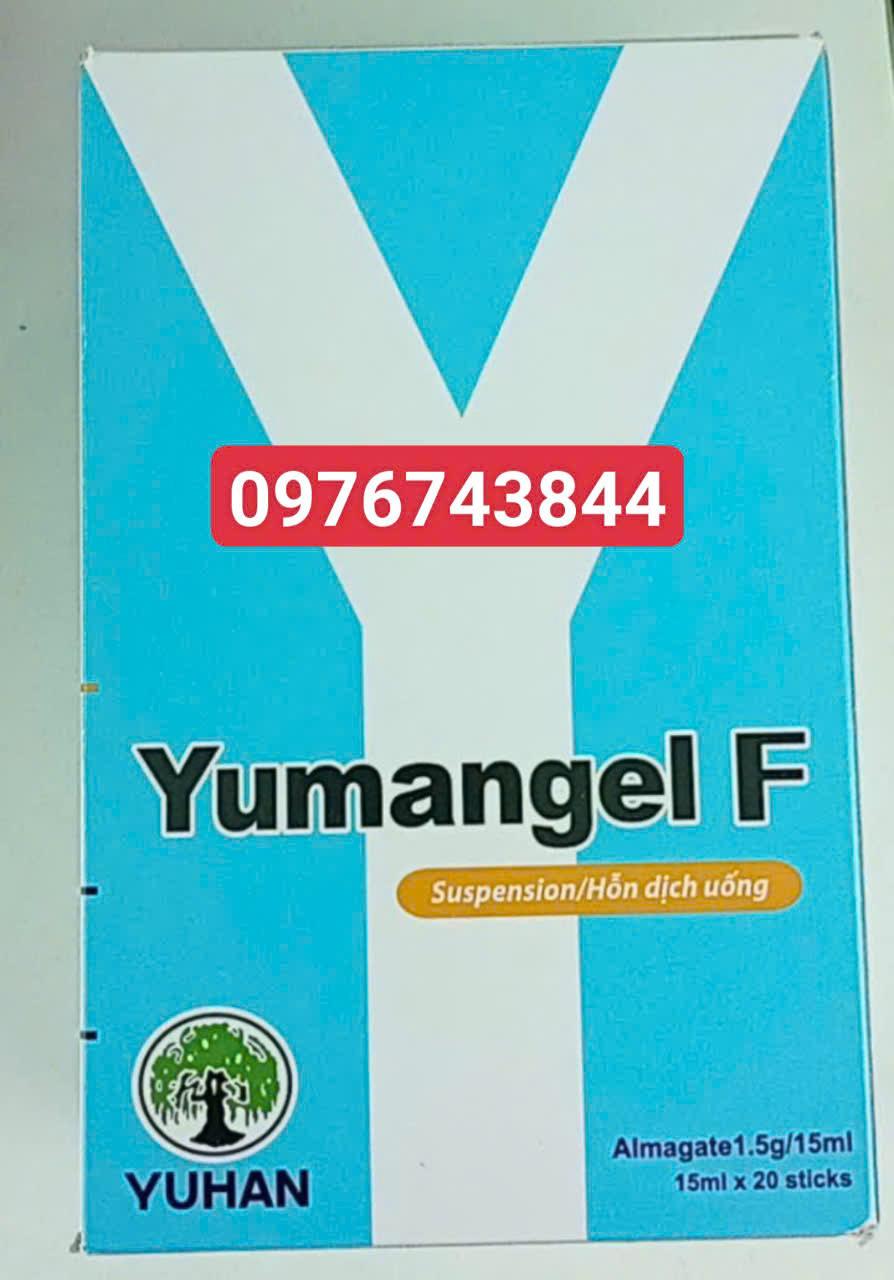 Yumal gel F -duoc-ban-tai-Nhà thuốc Minh Ngọc Hapulico