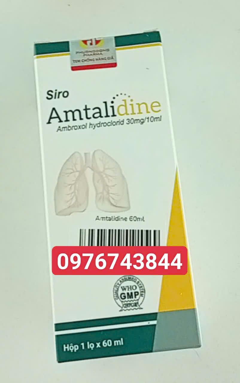 Amtalidine 60ml-duoc-ban-tai-Nhà thuốc Minh Ngọc Hapulico
