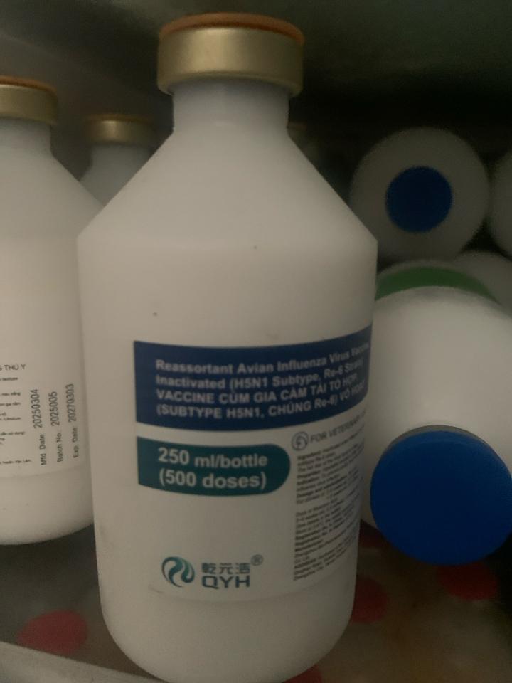 H5N1 TQ-duoc-ban-tai-Cửa hàng thuốc thú y kim liên 3