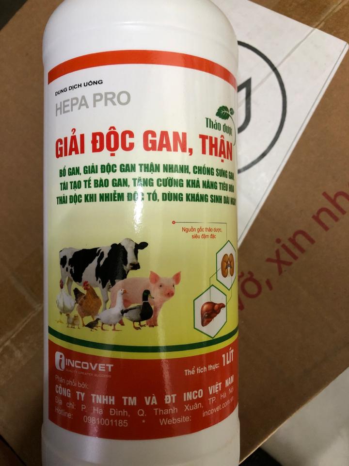 GĐGan INcovet-duoc-ban-tai-Cửa hàng thuốc thú y kim liên 3