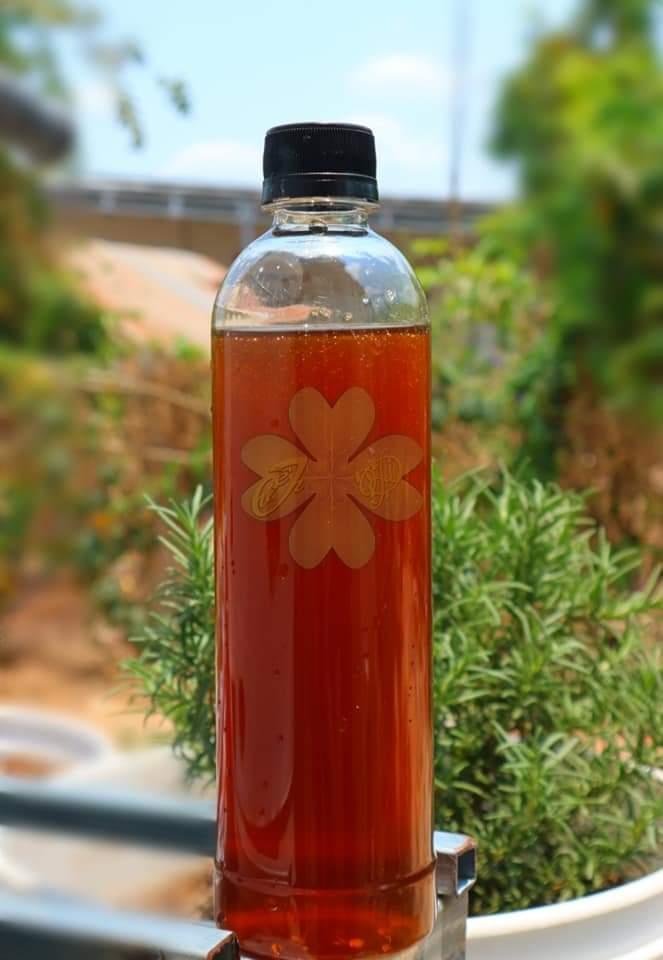 Mật ong nguyên chất VQG Lò Gò 500ml-duoc-ban-tai-THẢO MỘC THIÊN DI