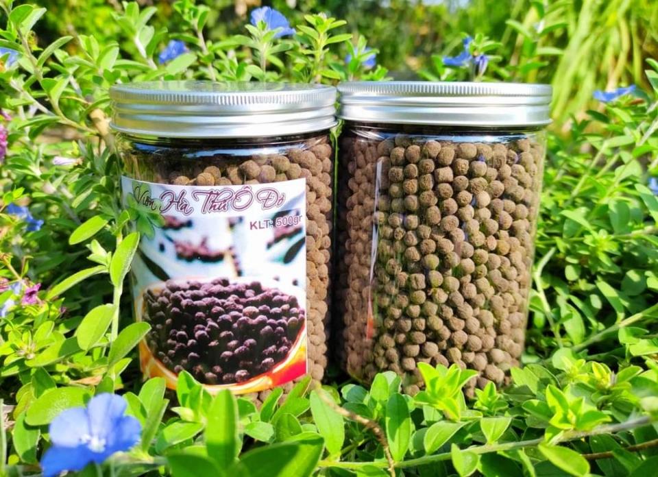 Viên hà thủ ô đỏ mật ong 500gr-duoc-ban-tai-THẢO MỘC THIÊN DI