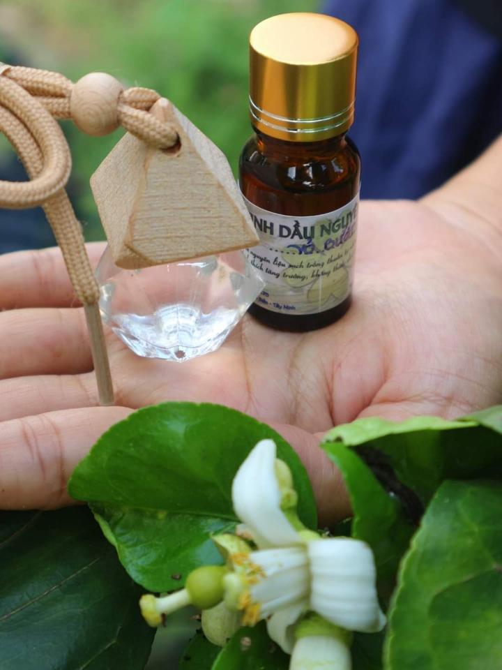Tinh dầu Vỏ bưởi -duoc-ban-tai-THẢO MỘC THIÊN DI