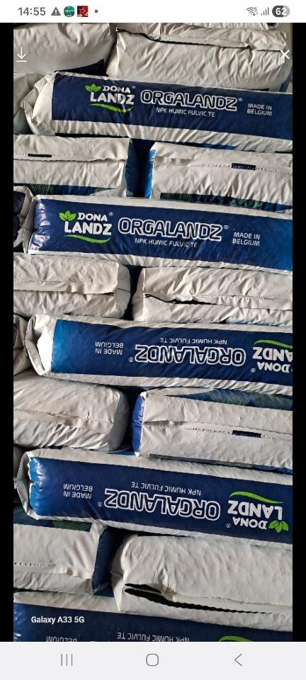 Nở Bỉ 80 om bao rin-duoc-ban-tai-Phân bón Văn Mười 719