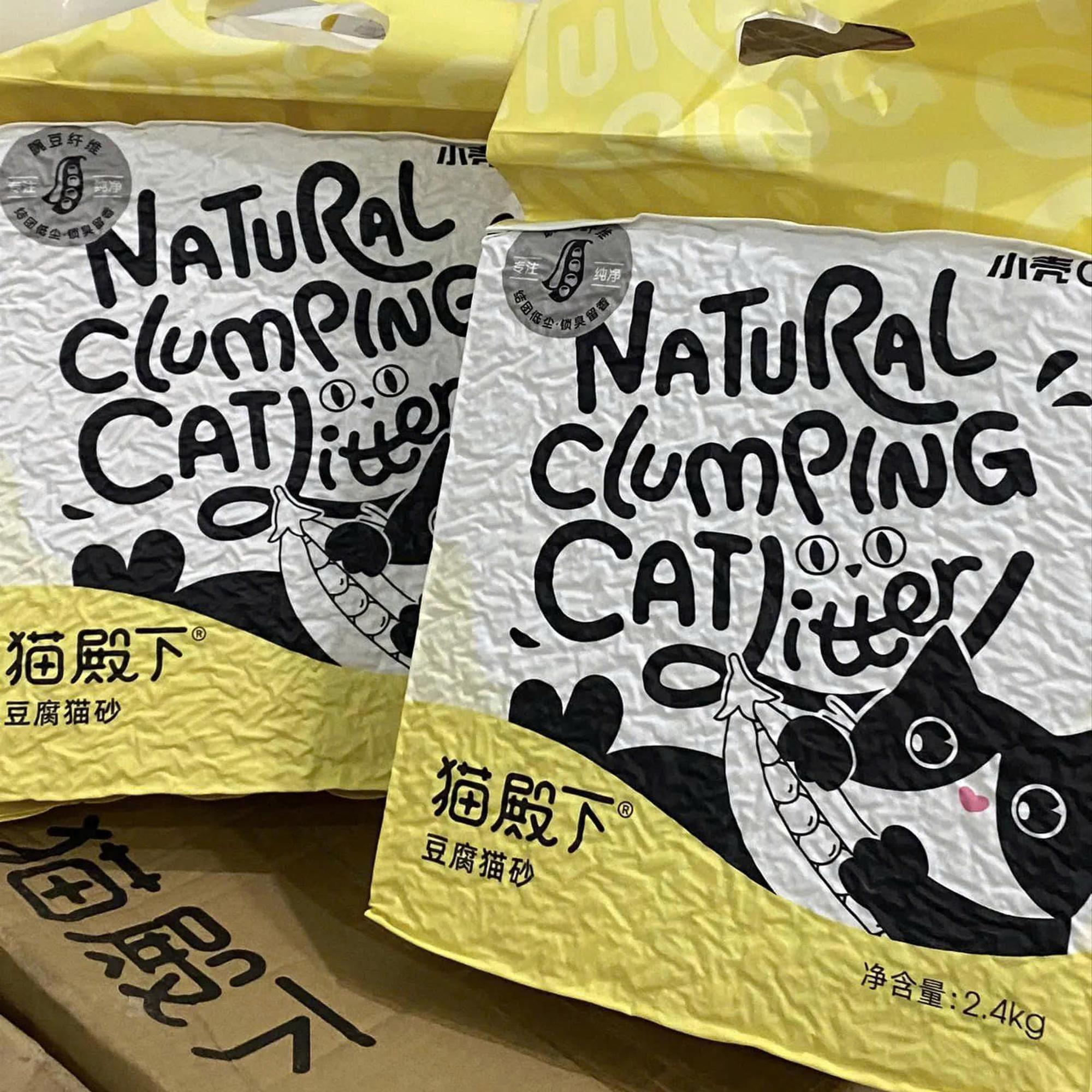 CÁT ĐẬU NÀNH NỘI ĐỊA CATURE -duoc-ban-tai-CLOUDY PET SHOP