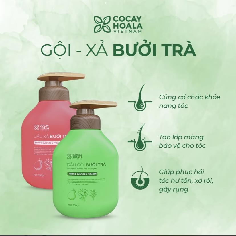 Dầu gội xả Bưởi Trà Cocayhoala-duoc-ban-tai-Yến nhà Loan - Yến sào Sea Nest Khánh Hoà