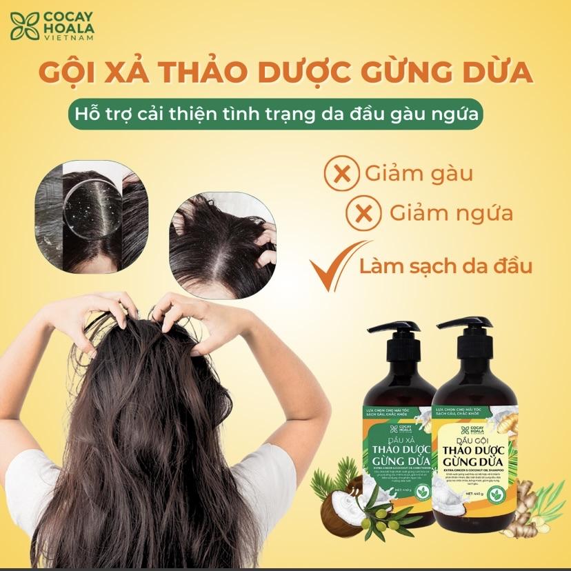 Dầu gội xả Gừng Dừa Cocayhoala-duoc-ban-tai-Yến nhà Loan - Yến sào Sea Nest Khánh Hoà