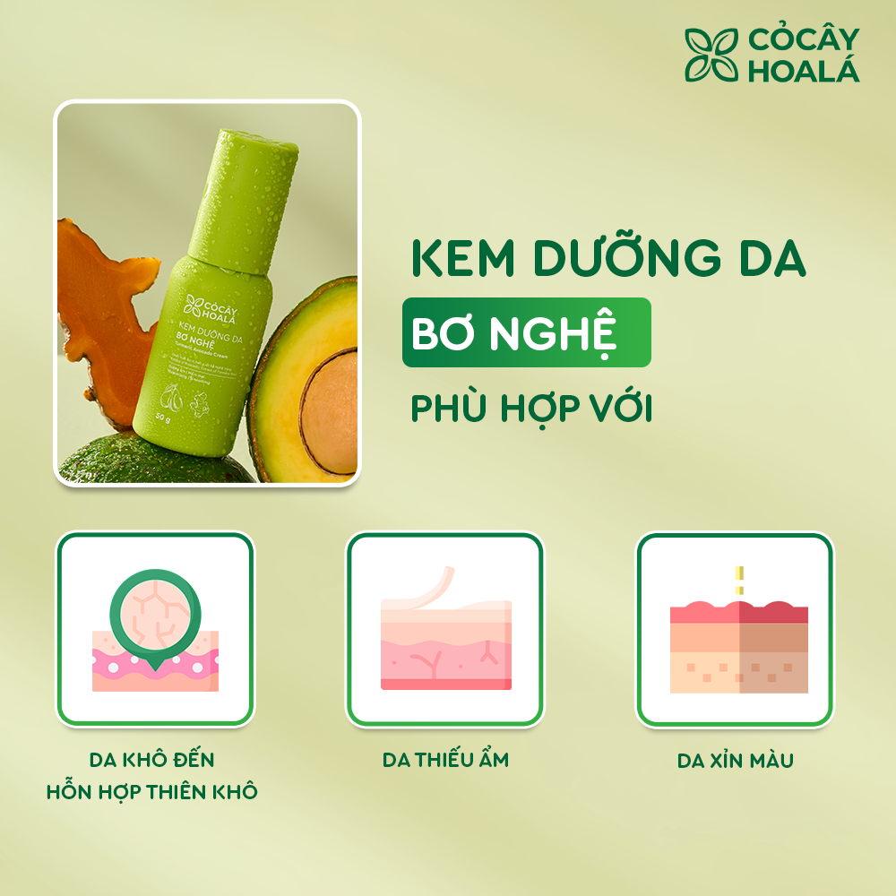 Kem Dưỡng Da Bơ Nghệ Cỏ Cây Hoa Lá 50g Cấp Ẩm Sâu, Phục Hồi Da Sáng Mịn-duoc-ban-tai-Yến nhà Loan - Yến sào Sea Nest Khánh Hoà